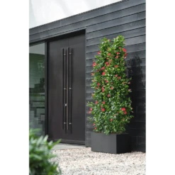 Elho Vivo Next Lang Wielen 60cm - Living Black -Groene Tuin Verkoop vivo next lang wielen 60cm living black 6 1