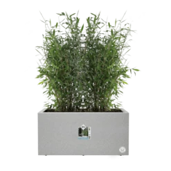 Elho Vivo Next Lang Wielen 60cm - Warm Grijs -Groene Tuin Verkoop vivo next lang wielen 60cm warm grijs 5 1