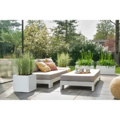 Elho Vivo Next Vierkant Wielen 40cm - Wit -Groene Tuin Verkoop vivo next vierkant wielen 40cm wit 7 1